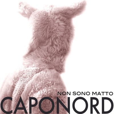 Non sono matto
