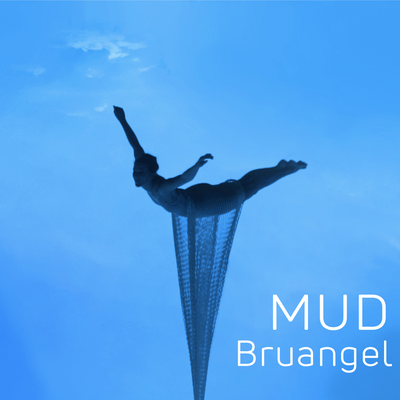Mud